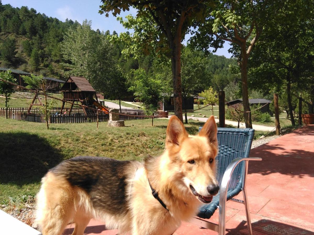 Cabanas De Javalambre カマレラ・デ・ラ・シエラ エクステリア 写真